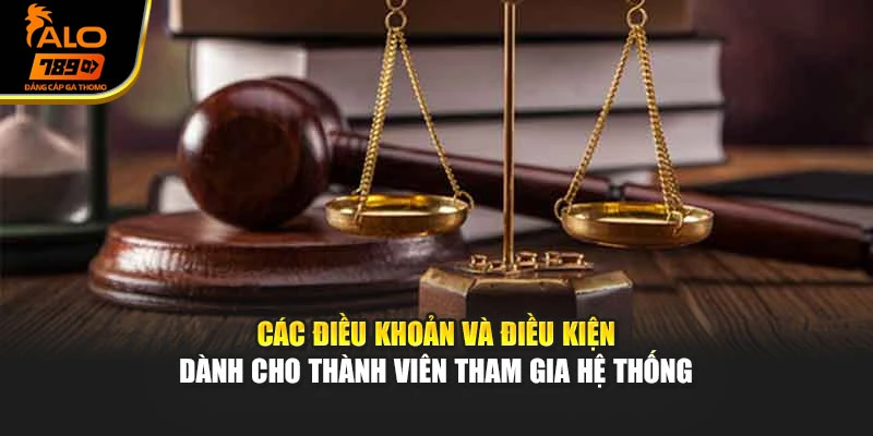 Các điều khoản và điều kiện dành cho thành viên tham gia hệ thống