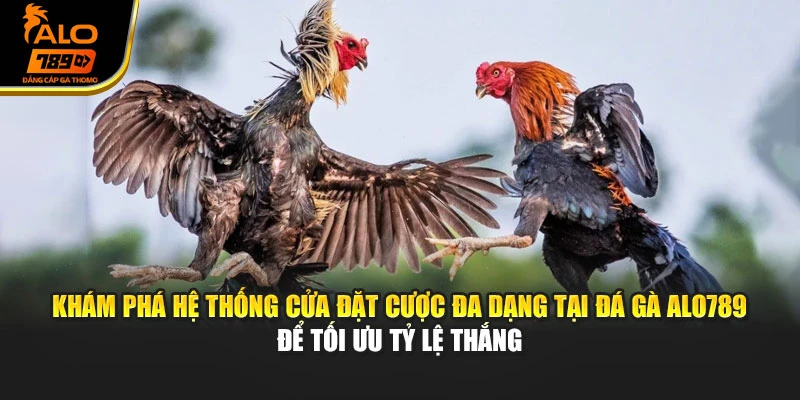 Khám phá hệ thống cửa đặt cược đa dạng tại đá gà Alo789 để tối ưu tỷ lệ thắng
