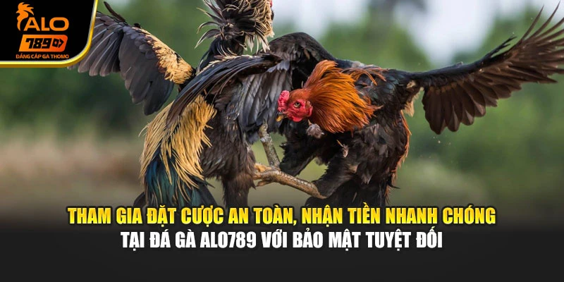 Tham gia đặt cược an toàn, nhận tiền nhanh chóng tại đá gà Alo789 với bảo mật tuyệt đối