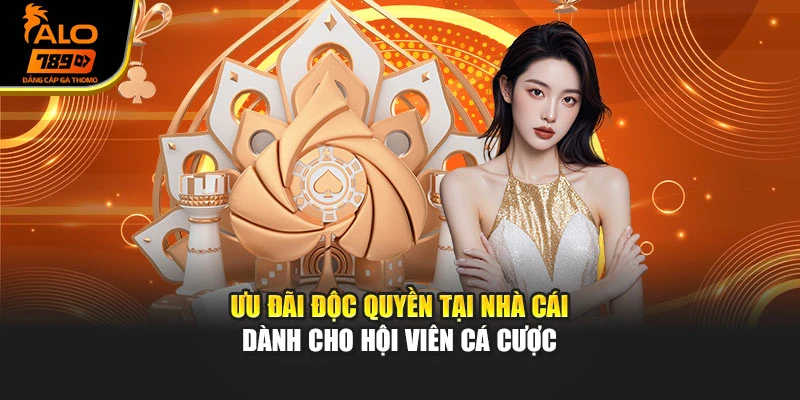 Ưu đãi độc quyền tại nhà cái dành cho hội viên cá cược